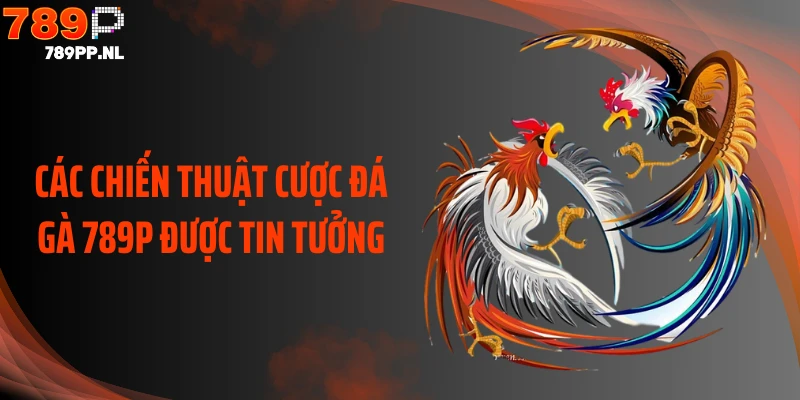 Các chiến thuật cược đá gà 789P được tin tưởng