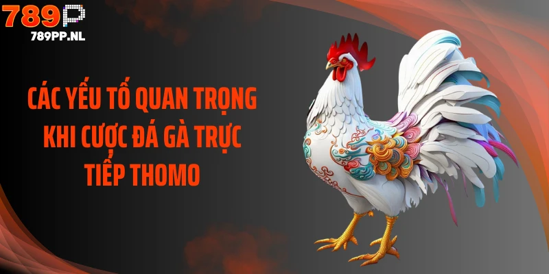 Các yếu tố quan trọng khi cược đá gà trực tiếp Thomo
