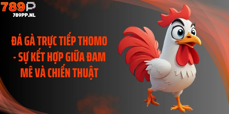 đá gà trực tiếp thomo