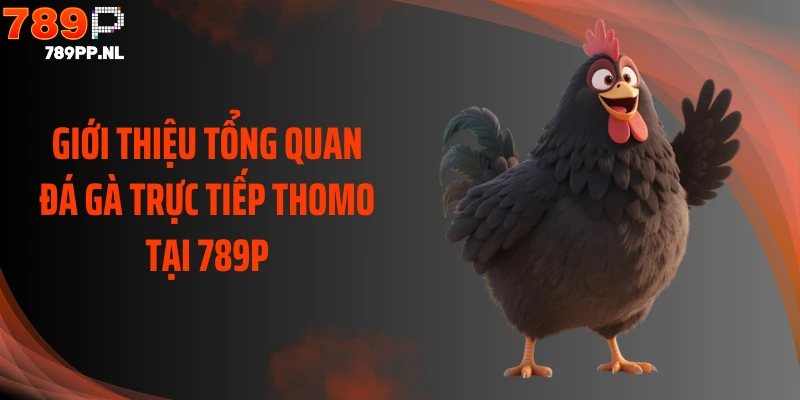 Giới thiệu tổng quan đá gà trực tiếp Thomo tại 789P
