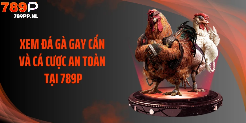 Xem đá gà gay cấn và cá cược an toàn tại 789P
